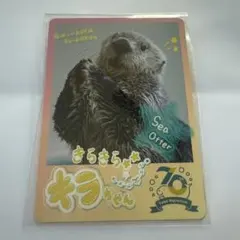 2026年最新】鳥羽水族館キラの人気アイテム - メルカリ