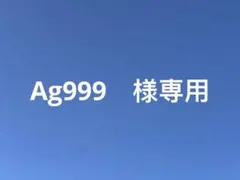 中国美術 4枚セット 文鎮 金属工芸 浮彫 刻印あり 厚重 コレクション