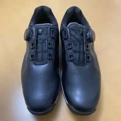 2026年最新】SHG100の人気アイテム - メルカリ