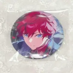 2026年最新】天城一彩 缶バッジ フィーチャー2の人気アイテム - メルカリ