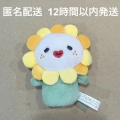 2026年最新】jochum マスコット biraの人気アイテム - メルカリ