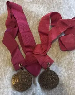 2026年最新】シンデレラ城 ミステリーツアー メダルの人気アイテム