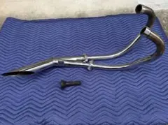 m51745314193_1.jpg?1772030101