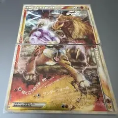 2026年最新】エンテイ ライコウ legendの人気アイテム - メルカリ