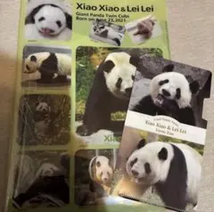 2026年最新】シャオシャオ レイレイ クリアファイルの人気アイテム