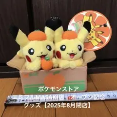 2026年最新】ペアピカチュウとえひめみかんの人気アイテム - メルカリ