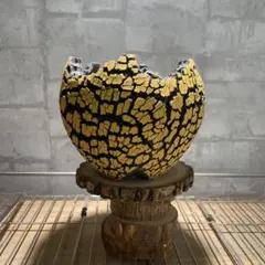 2026年最新】konectの人気アイテム - メルカリ