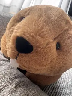 2026年最新】むっちりビーバーたっちウルトラBIGの人気アイテム - メルカリ