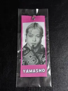 2026年最新】山本彰吾 クッションの人気アイテム - メルカリ