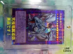 2026年最新】究極竜魔導師の人気アイテム - メルカリ