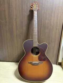 2026年最新】takamine npt 012の人気アイテム - メルカリ