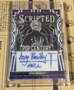 2026年最新】leaf pop centuryの人気アイテム - メルカリ