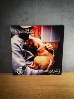 2026年最新】nujabes luv sicの人気アイテム - メルカリ