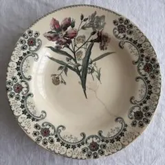 2026年最新】ショワジールロワ 切り花の人気アイテム - メルカリ