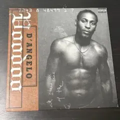 2026年最新】d'angelo voodoo レコードの人気アイテム - メルカリ