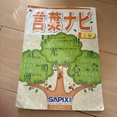 2026年最新】サピックス 言葉ナビの人気アイテム - メルカリ