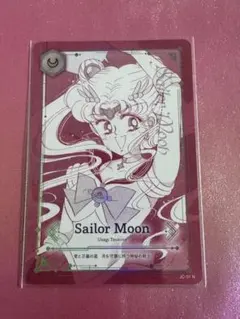 2026年最新】ジミーチュウ セーラームーン カードの人気アイテム