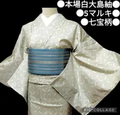 2026年最新】白大島 紬 未使用の人気アイテム - メルカリ