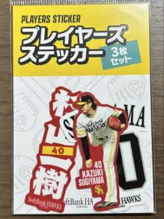 2026年最新】若鷹ガチャの人気アイテム - メルカリ