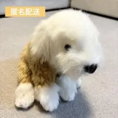 2026年最新】オールドイングリッシュシープドッグの人気アイテム