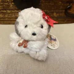 2026年最新】うめ吉 あやかの人気アイテム - メルカリ