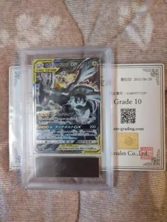 2026年最新】ピカチュウ&ゼクロム arsの人気アイテム - メルカリ