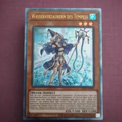 2026年最新】聖殿の水遣いの人気アイテム - メルカリ