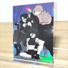 2026年最新】鋼の錬金術師 カードダスマスターズの人気アイテム - メルカリ