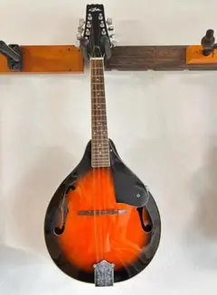 2026年最新】フラットマンドリンの人気アイテム - メルカリ