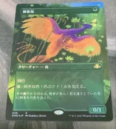 2026年最新】極楽鳥 foilの人気アイテム - メルカリ