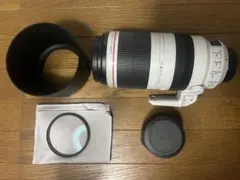 2026年最新】EF400mm F2.8L USMの人気アイテム - メルカリ