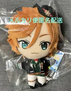 2026年最新】三毛縞斑 ぬいぐるみ 新衣装の人気アイテム - メルカリ