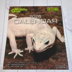 2026年最新】ビバリウムガイドの人気アイテム - メルカリ