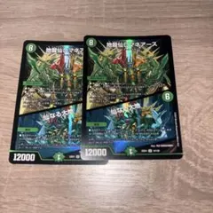 2026年最新】地龍仙ロマネアースの人気アイテム - メルカリ