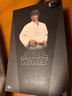 2026年最新】ルークスカイウォーカー ホットトイズの人気アイテム