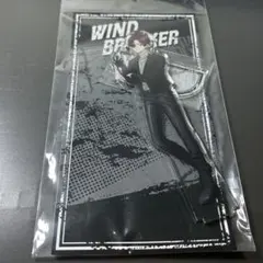 2026年最新】蘇枋隼飛 ロックレザーの人気アイテム - メルカリ