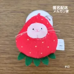 m93247724970_1.jpg?1771149279