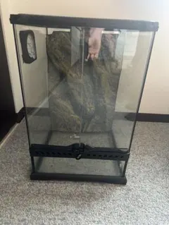 2026年最新】グラステラリウム 3045の人気アイテム - メルカリ