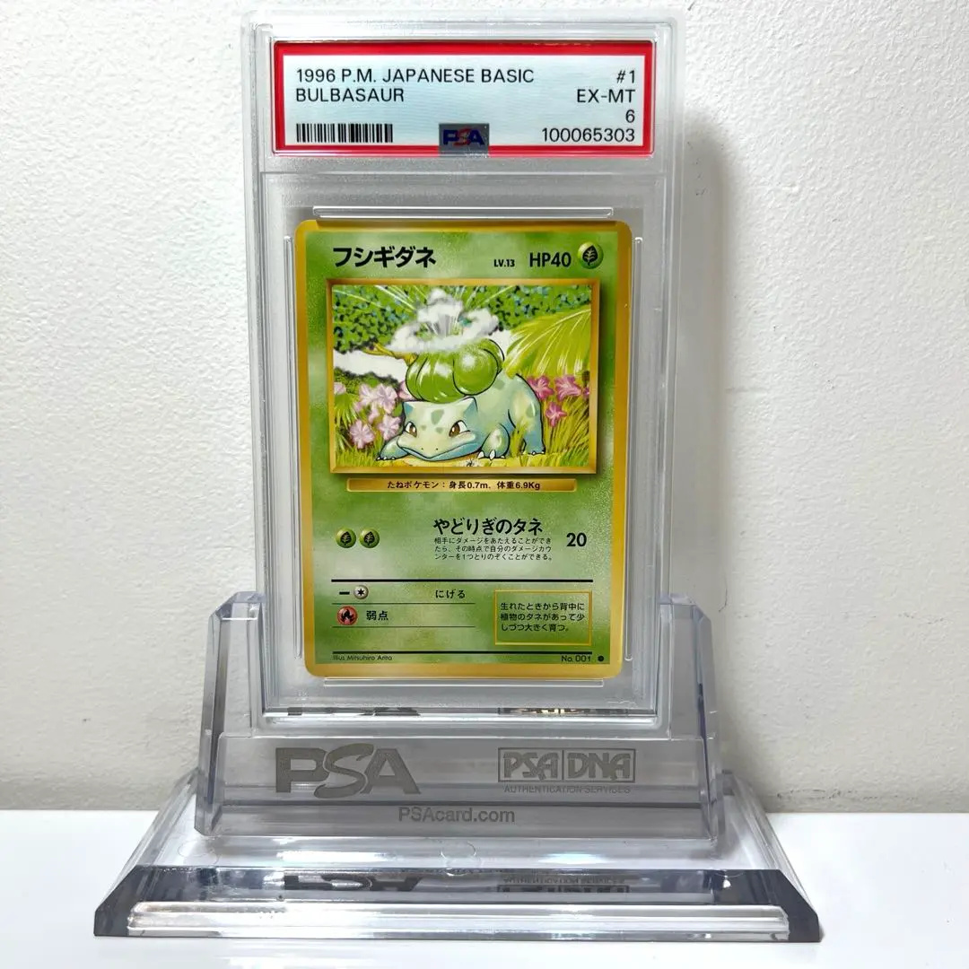 2026年最新】フシギダネ 旧裏 psa10の人気アイテム - メルカリ