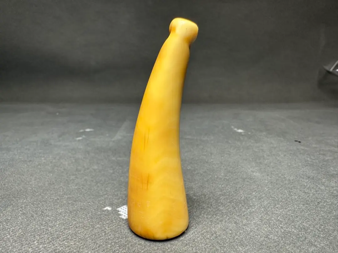 2026年最新】鯨歯 パイプの人気アイテム - メルカリ