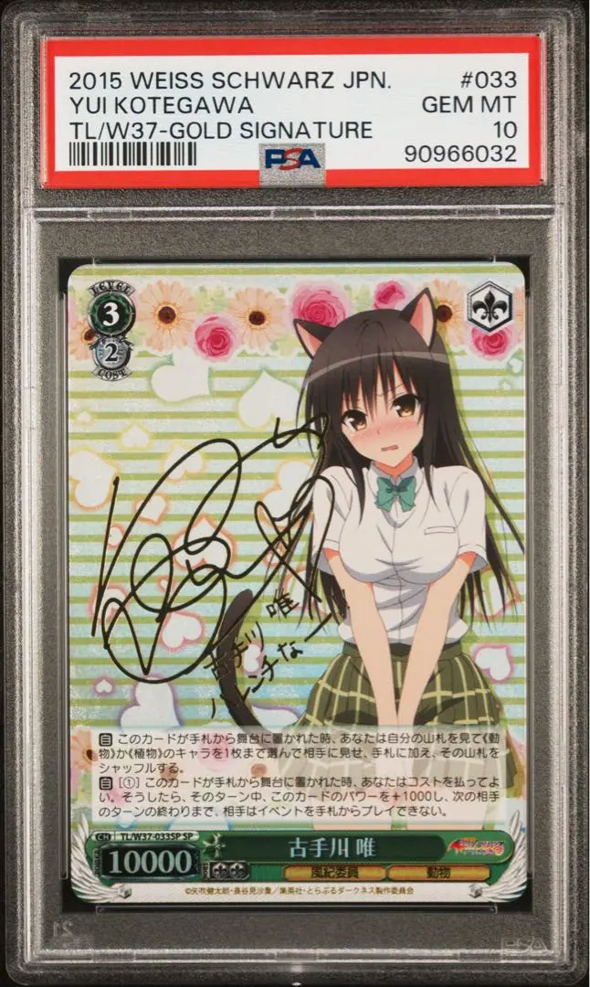 m21423535059_1.jpg?1739086073