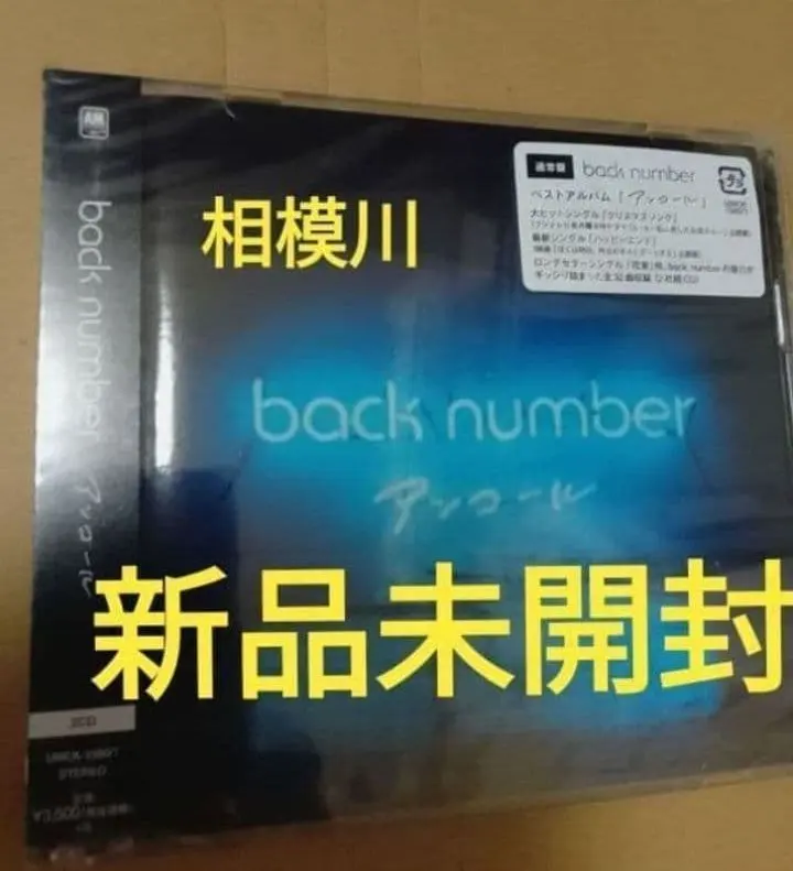 2026年最新】back number インディーズの人気アイテム - メルカリ
