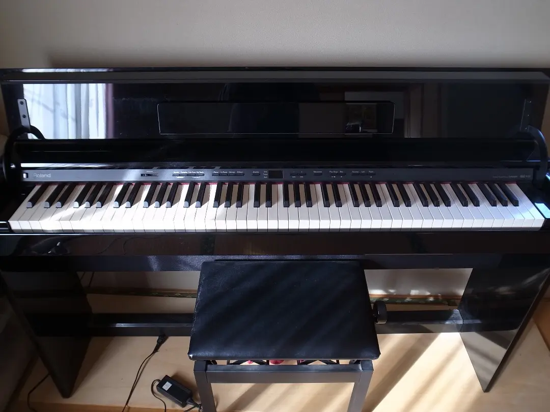 2026年最新】roland dp9の人気アイテム - メルカリ