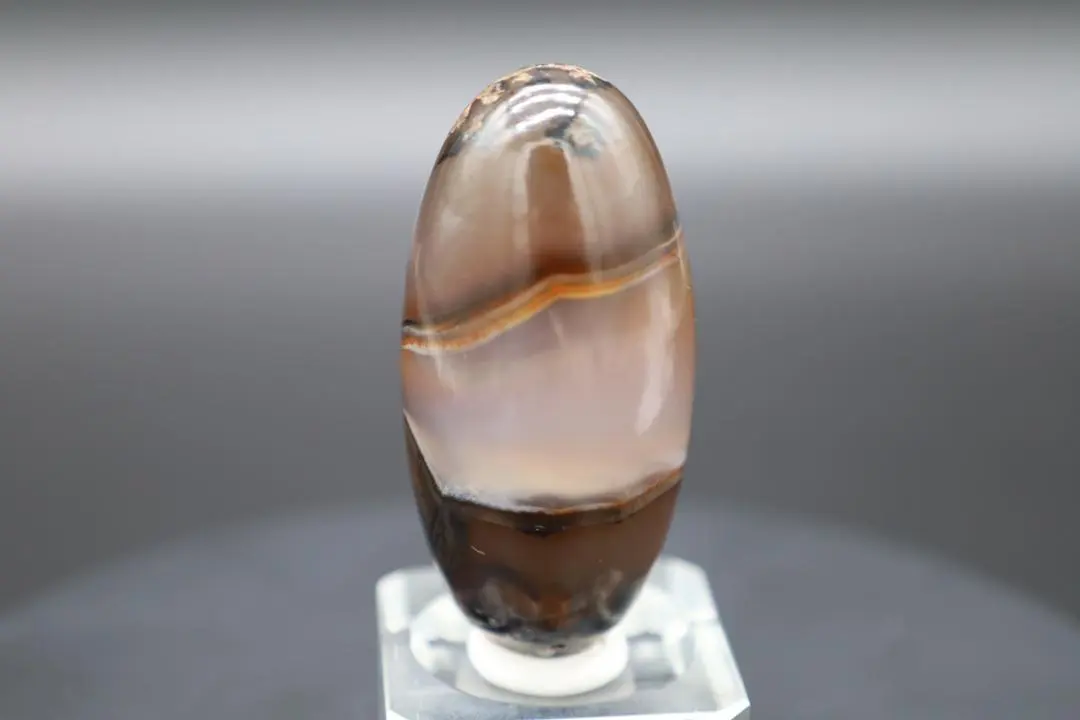 2026年最新】シバリンガムの人気アイテム - メルカリ