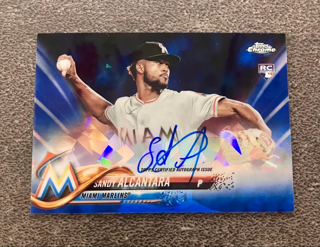 2026年最新】SANDy alcantaraの人気アイテム - メルカリ