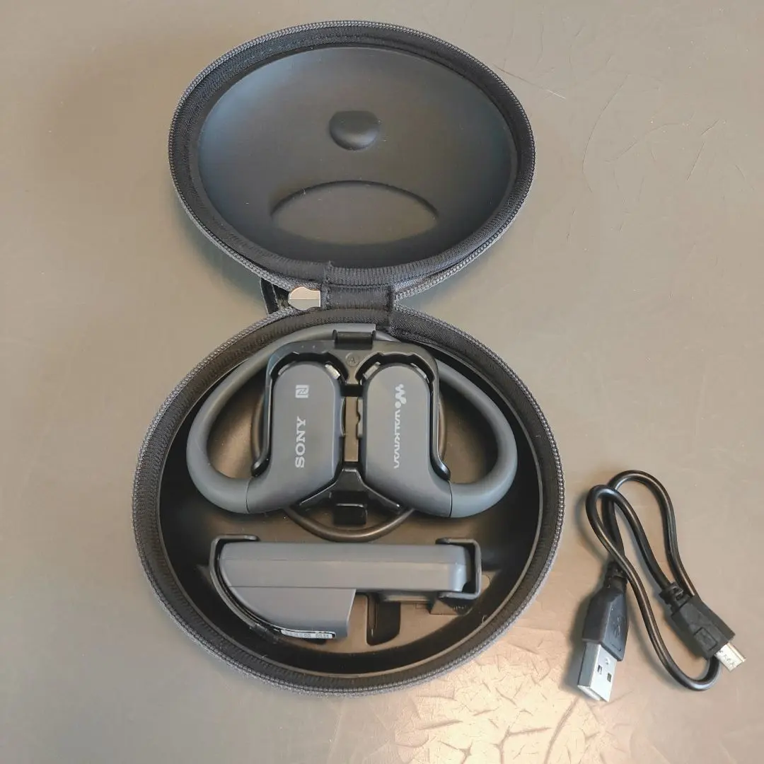 2026年最新】NW-WS623の人気アイテム - メルカリ