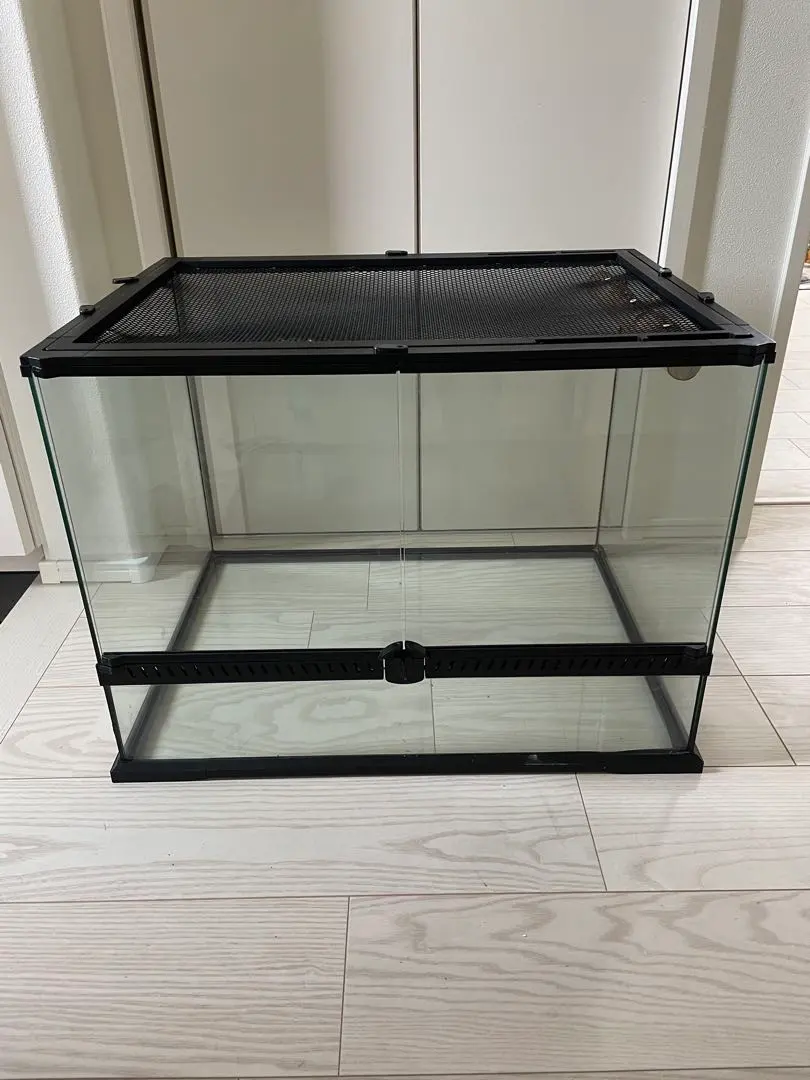 2026年最新】レインフォレストタンクの人気アイテム - メルカリ