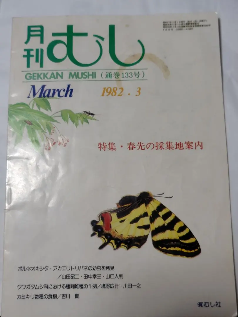 2026年最新】キシタアゲハの人気アイテム - メルカリ