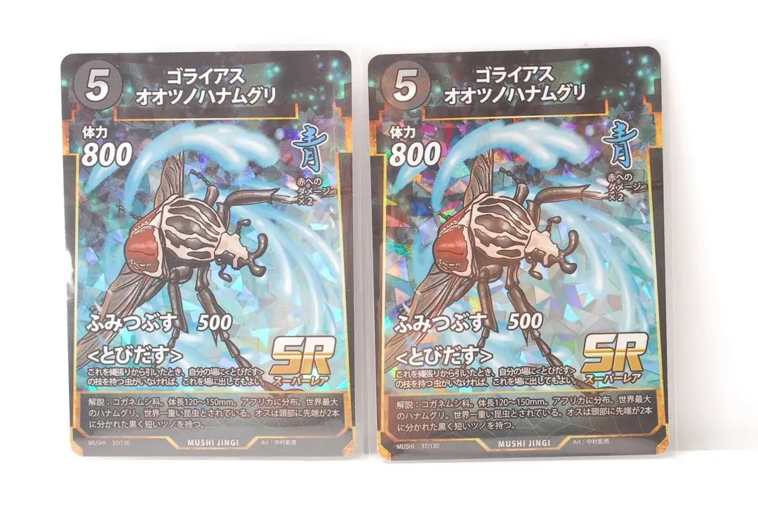 2026年最新】ゴライアスオオツノハナムグリ 標本の人気アイテム - メルカリ