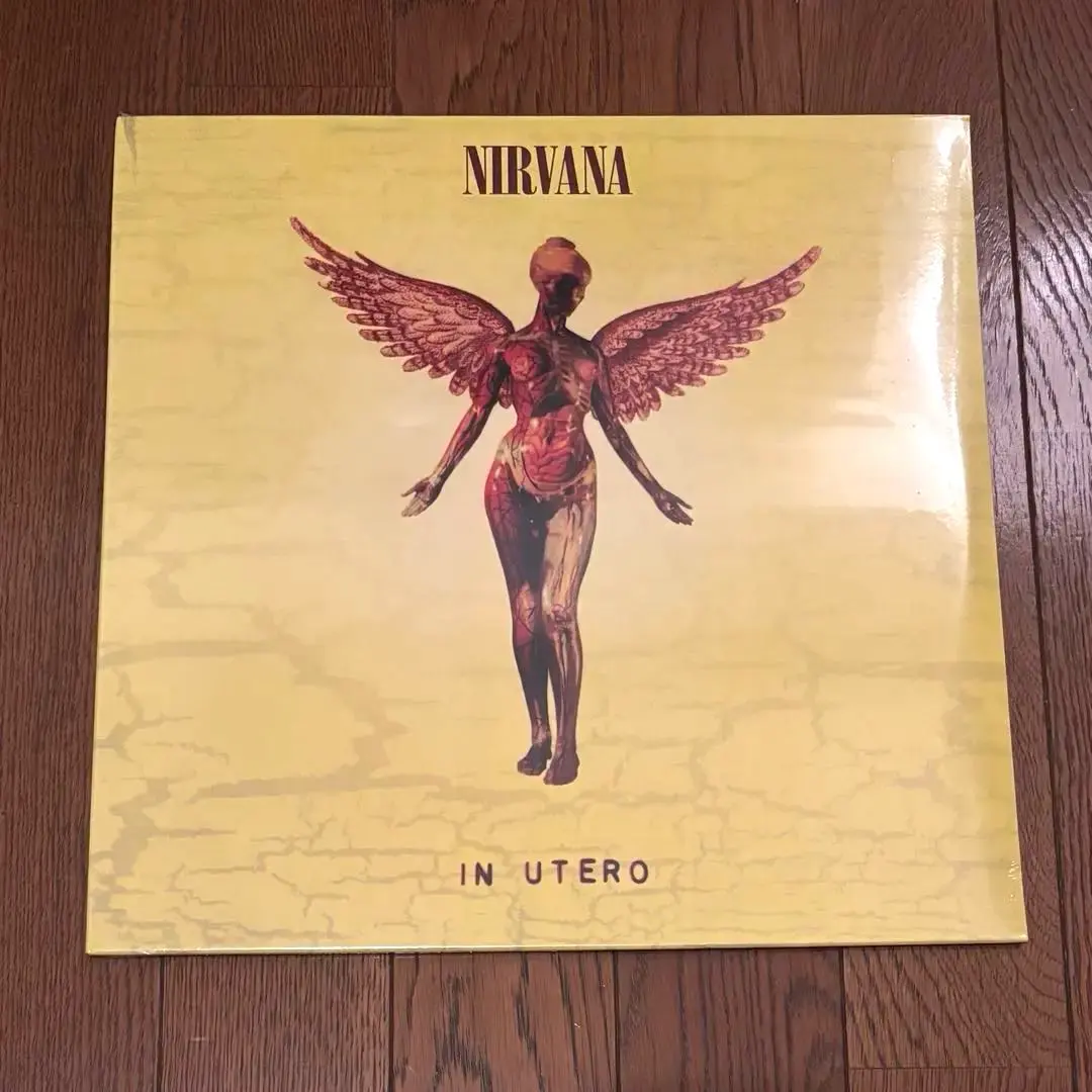 2026年最新】NIRVANA in utero レコードの人気アイテム - メルカリ